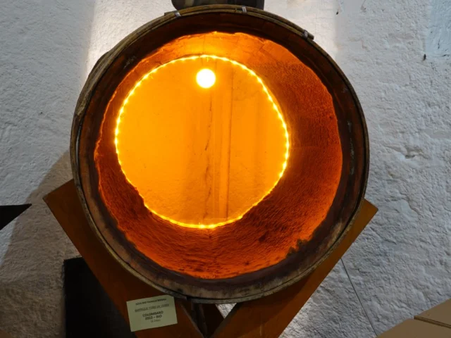 Muscadet sur lie from Domaine Bid'Gi