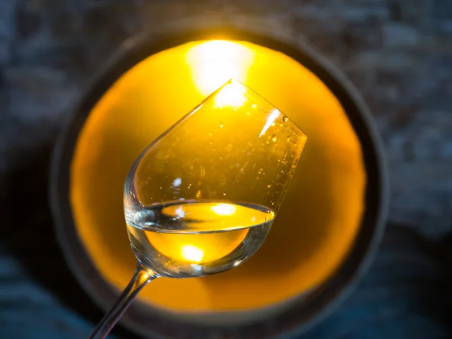 photo of a cellar visit to a muscadet producer in the Nantes vineyards. visit and discovery of muscadet, tasting of muscadet from the Nantes vineyards.