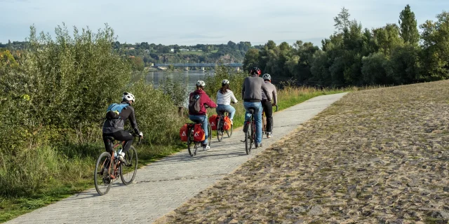 Nantes vineyard cycle route: cycling along the Loire River