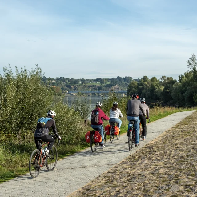 Nantes vineyard cycle route: cycling along the Loire River