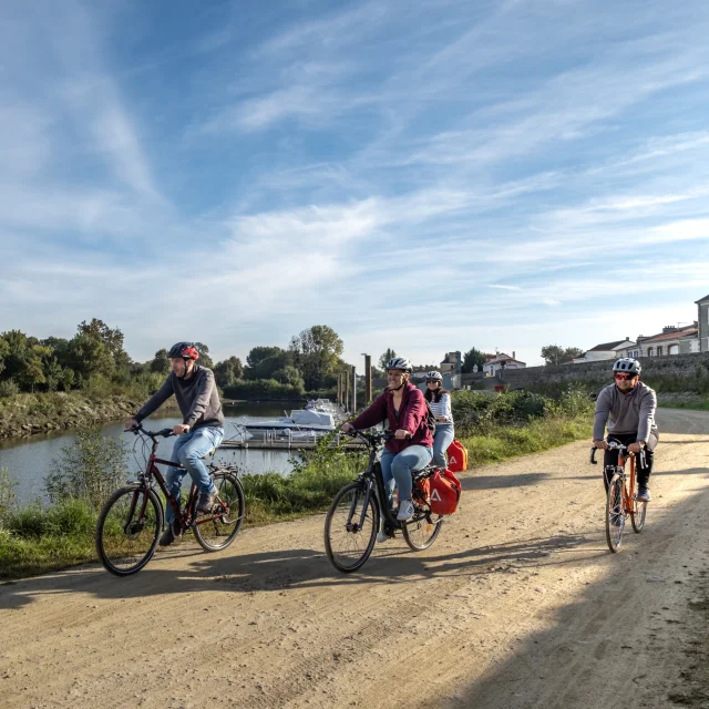 Activities in the Vignoble Nantais: cycling on the Loire with Talbicyclette