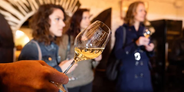 Dégustation de Muscadet