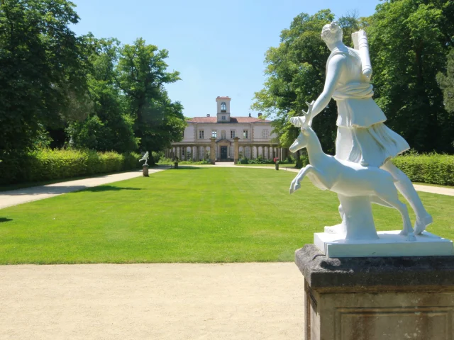 Our must-sees: Journey through the vineyards