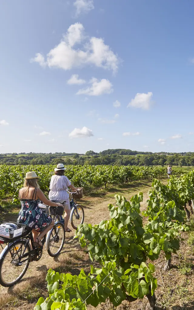 An idea for a weekend of cycling and canoeing in the Vignoble Nantais region