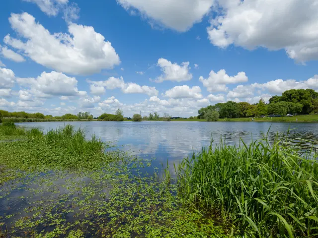 Heritage break near Nantes: discover the natural heritage of the Goulaine marshes, a Natura 2000 area