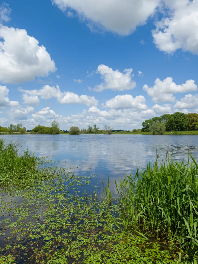 Heritage break near Nantes: discover the natural heritage of the Goulaine marshes, a Natura 2000 area
