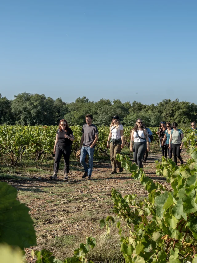 Heritage break near Nantes: Soif de Nature itinerary