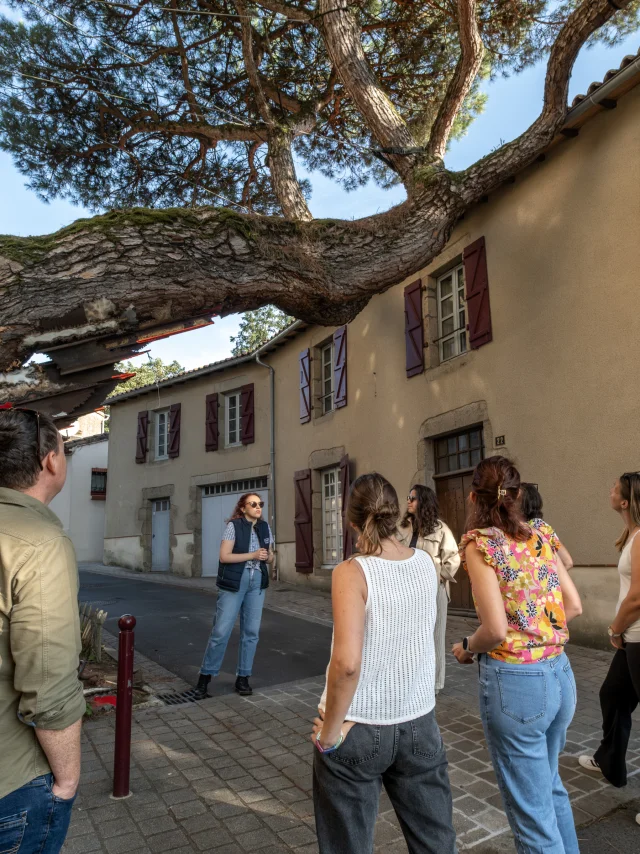 Heritage breaks near Nantes : Visit Clisson, jewel of the Nantes vineyards