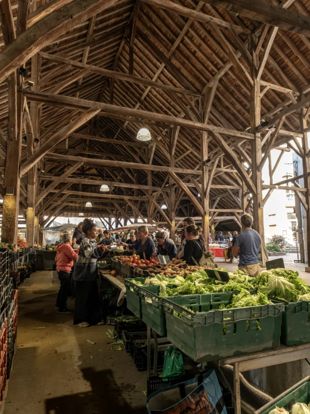 Heritage breaks near Nantes : Visit Clisson, jewel of the Nantes vineyards