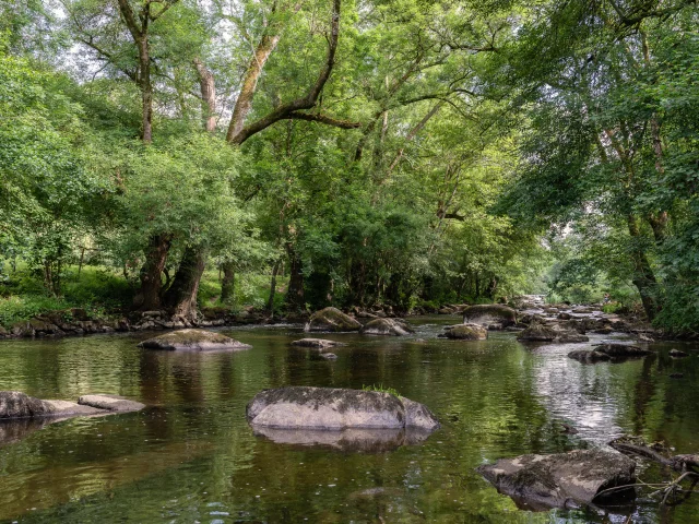 Our must-sees: the Maine, a living river in the Nantes vineyards
