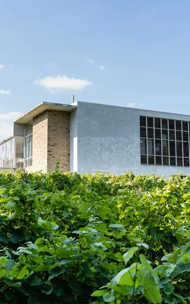 Muscadet tasting weekend near Nantes: Visit the Musée du Vignoble Nantais