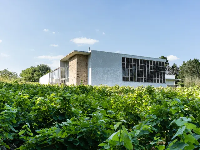 Muscadet tasting weekend near Nantes: Visit the Musée du Vignoble Nantais