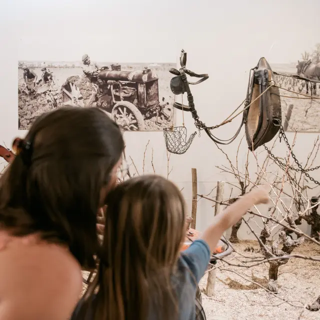 The vineyards from a child's point of view: visit the Musée du Vignoble Nantais