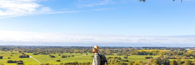 21 Cloetclem Vineyard 012 2