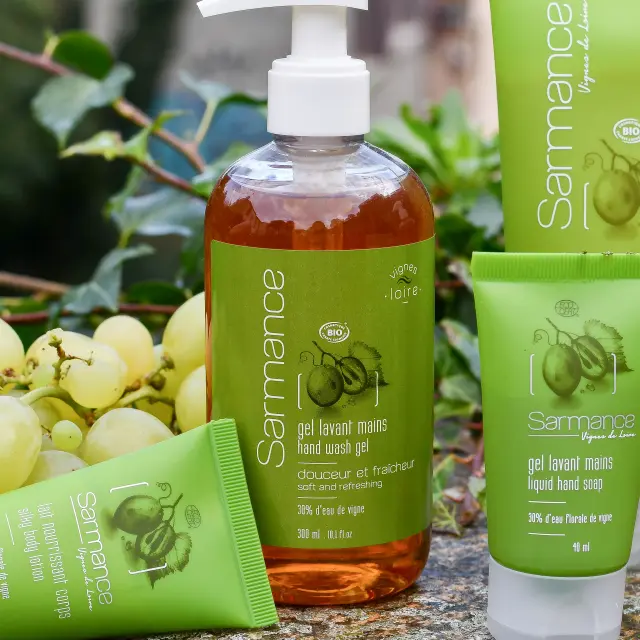 Destination Vignoble!