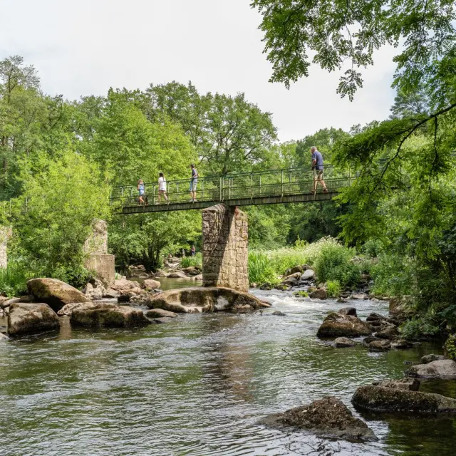 Hiking and walking tours, our favourite routes in the Vignoble Nantais : Passerelle Aigrefeuille, hiking near Nantes
